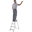 Werner High Handrail 4 Tread Stepladder
