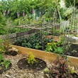 Raised Garden Beds Tanalised Timber - 2.4m (8ft) x 1.2m (4ft)
