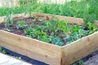 Raised Garden Beds Untreated Timber - 2.4m (8ft) x 1.8m (6ft)