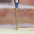 C2 Strong-Fix Premium Screw - All Sizes