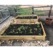 Slim Raised Garden Beds Tanalised - 1.8m (6ft) x 1.8m (6ft)
