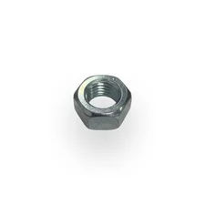M10 Hex Nut (Pack of 100)