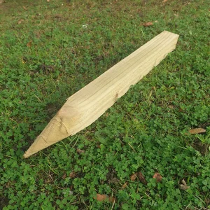 Setting/Marking Out Stake - 600x50x50mm