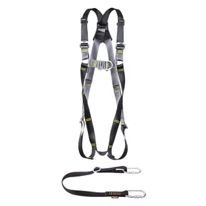 RidgeGear MEWP Restraint Kit RGHK5 - Front & Rear D