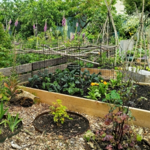Raised Garden Beds Tanalised Timber - 3.0m (10ft) x 2.4m (8ft)