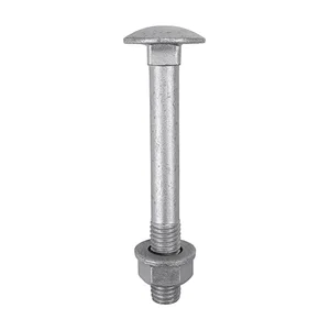 Carriage Bolt Sets - Dome - Exterior - Silver - All Sizes