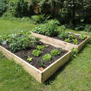 Raised Garden Beds Tanalised Timber - 3.0m (10ft) x 2.4m (8ft)