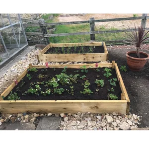 Slim Raised Garden Beds Tanalised - 2.4m (8ft) x 1.8m (6ft)