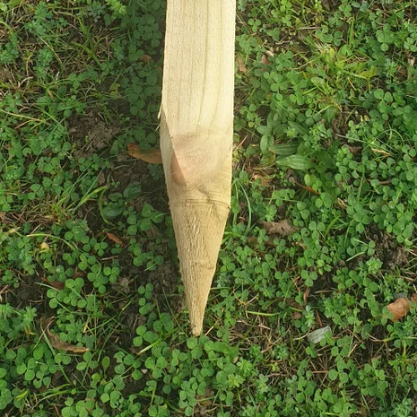 Treated Raised Bed Post - 4ft