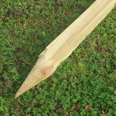 Treated Raised Bed Post - 2ft