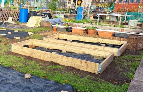 Raised Garden Beds Tanalised Timber - 2.4m (8ft) x 1.2m (4ft)